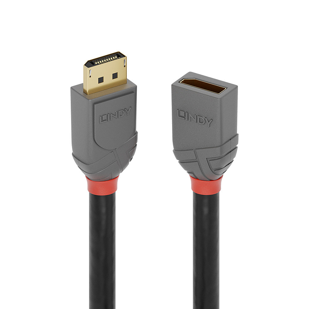 Rallonge DisplayPort 1.4 Anthra Line, 3m DP mâle/femelle