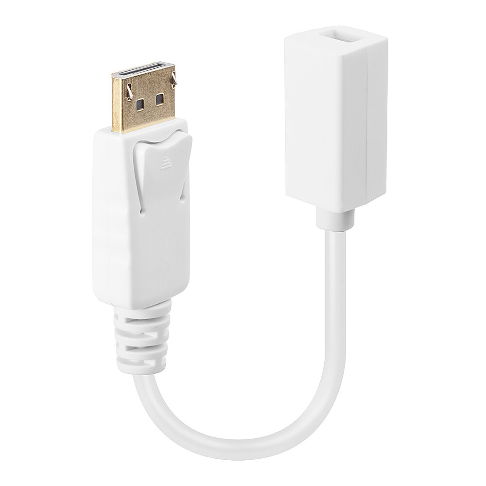 Câble adaptateur DP (DisplayPort) vers Mini DisplayPort femelle